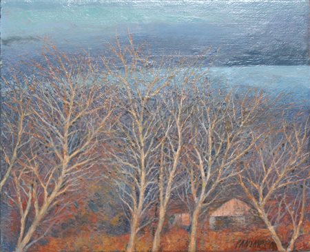 PANZAVOLTA CARLO Betulle