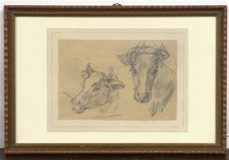 Ignoto del secolo XIX "Studio per bovini" matita nera su carta applicata su car