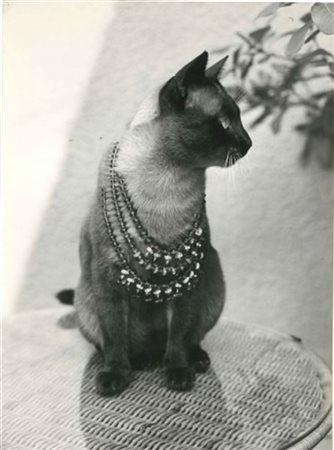 ELSA HAERTTER
Una stampa fotografica vintage alla gelatina sali d'argento con p