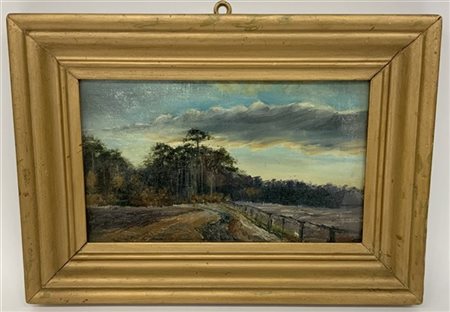 Ignoto, ''Paesaggio'', olio su tela (cm 16x27), in cornice (difetti)