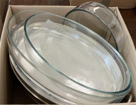 Cartone contenente numerose pirofile in metallo argentato e vetro (difetti)