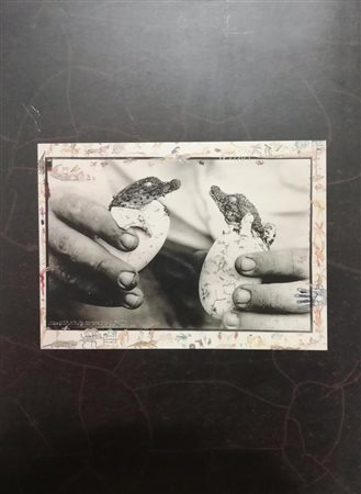 PETER BEARD. OLTRE LA FINE DEL MONDO volume autografato dell'esposizione a...