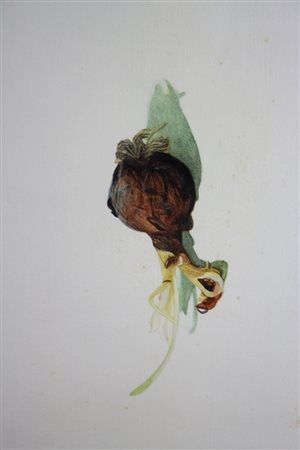 Radu Dragomirescu (Roseti 1944)