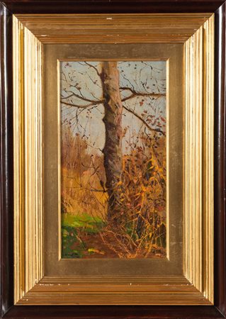 Pittore del XX sec., “Il pioppo”, Anni ‘80.