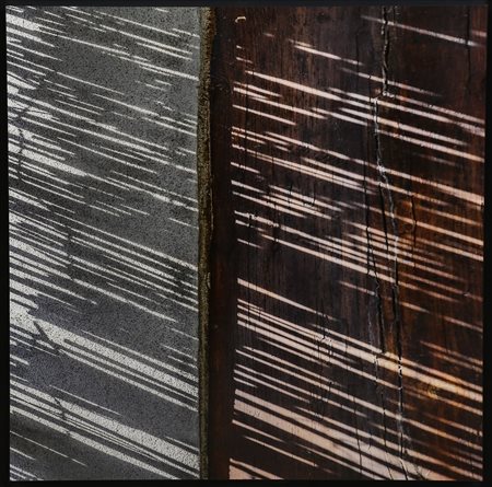 PINO COLLA Armonia vegetale.