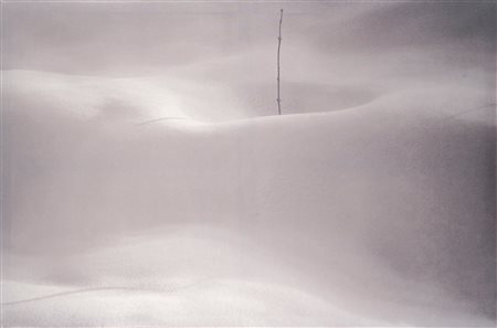 Abbas Kiarostami (1940-2016)  - Untitled, from the series "Snow White", 2002