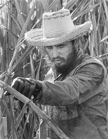 Osvaldo Salas (1914-1992)  - Fidel Castro. Corte de Cana, 1965