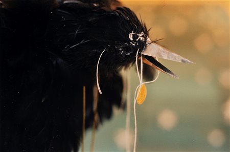 Kiki Smith (1954)  - Untitled, from the series "Crow", 1997