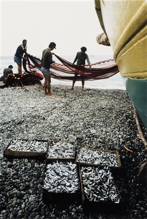 Gianni Berengo Gardin (1930)  - Pesci freschi, San Benedetto del Tronto, 1997