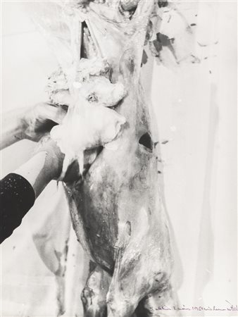 HERMANN NITSCH 
5. Aktion 3.3.1964, 1964