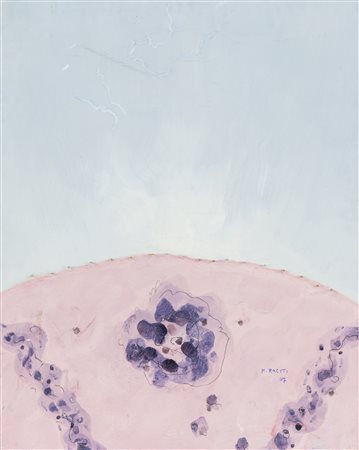 MARIO RACITI
La rosa, 1967