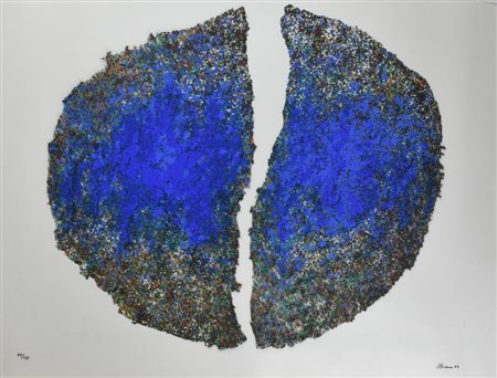 Renzo Nucara AMA LA NATURA serigrafia su pvc neutro, cm 70x90 esemplare 87 su...