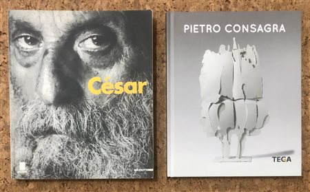 AUTORI VARI (CÉSAR, CONSAGRA) - Lotto unico di 2 cataloghi