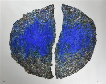 Renzo Nucara AMA LA NATURA serigrafia su pvc neutro, cm 70x90 esemplare 86 su...