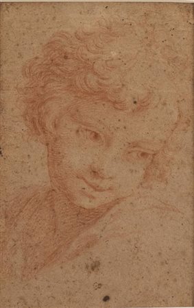 Scuola Bolognese del XVI secolo VOLTO sanguigna su carta, cm 21x13,5 L'opera...