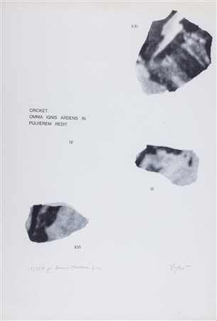 Emilio Isgrò (Barcellona Pozzo di Gotto 1937)  - Cricket