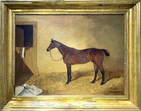 Pittore del XIX secolo. Cavallo. 46x61, olio su tela. Firmato in basso a...