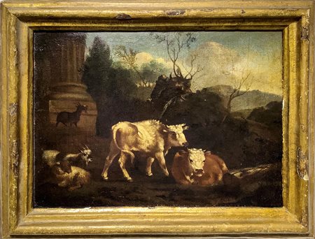 Pittore fiammingo del XVII secolo. Buoi e capre. 24x31,5 olio su tavola.