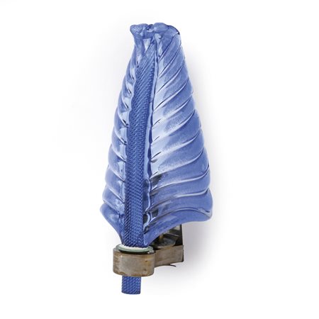 TOMMASO BUZZI  VENINI