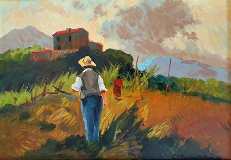 CARLO DOMENICI - Campagna 