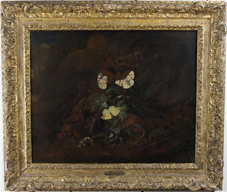 Otto Marseus Van Schrieck (Numega 1619 - Amsterdam 1678) attribuito - attributed