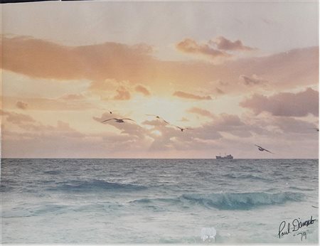 Paul Dangelo SENZA TITOLO fotografia digitale, cm 27x35 firma e data eseguita...