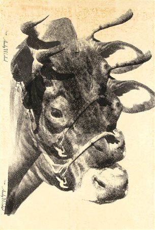 ANDY WARHOL<br>Pittsburgh, 1928 - New York, 1987  - Cow
