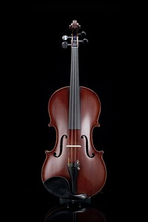 Violino di Jérôme Thibouville-Lamy, Mirecourt 1910 ca.
Fondo in un sol pezzo co