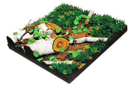 GILARDI  Piero, Fragole nel bosco