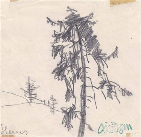 Artur Nikodem (Trient/Trento 1870 – Innsbruck 1940) Conifera, 1910/20...