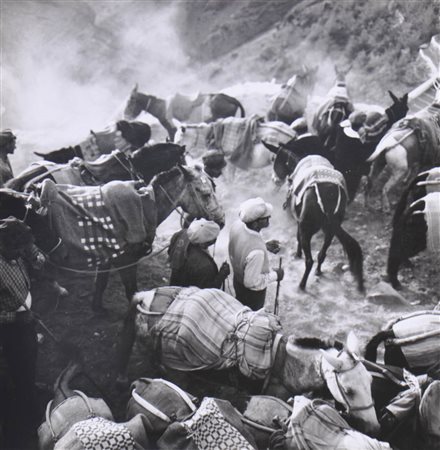 Wilfried Kirschl (Wörgl 1930 – Innsbruck 2010) Asinaio in Grecia...