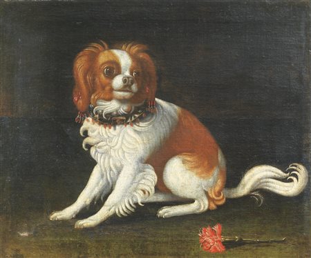 Justus Sustermans (bottega di) (1597 - 1681) RITRATTO DI CANE CON GAROFANO...