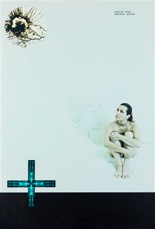 ANDREA NERI - Vascular Tissue Bone Scan Ant/Post, 2006