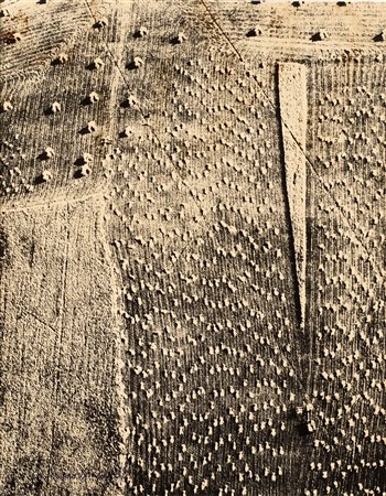 Mario Giacomelli (1925-2000)  - Paesaggio, 1975/1985