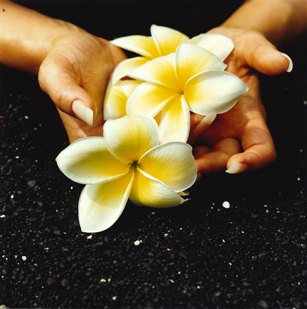 Guido Argentini (1966)  - Hawaii, 1999