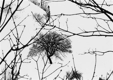 Abbas Gharib (1942)  - Untitled (Snow), 2012