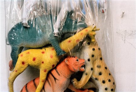 Alessandra Spranzi (1961)  - From the series "Selvatico" , "Sacco con animali", 2008