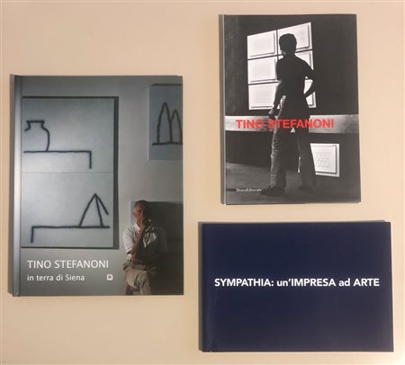 TINO STEFANONI - Lotto unico di 3 cataloghi