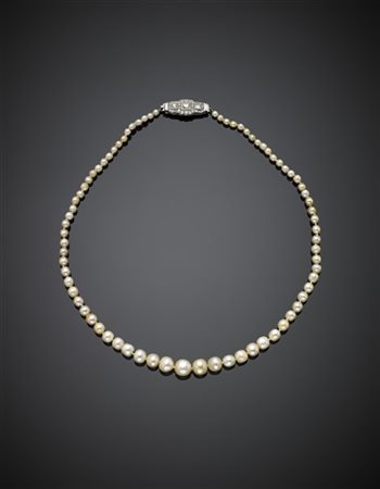 Collana a scalare in perle naturali d'acqua salata da mm 3 a mm 8.50 circa, chi