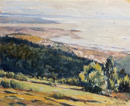 Dyalma Stultus "Trieste" 48, 
olio su tela applicata a compensato (cm 35x44)
Fir