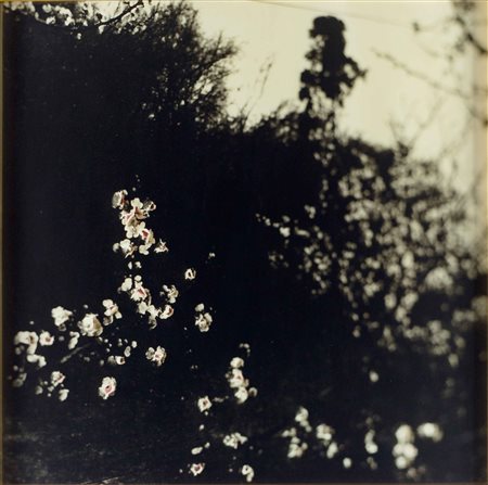 VITTORE FOSSATI Senza titolo 1999 c-print 50x50 cm esemplare 2/10...