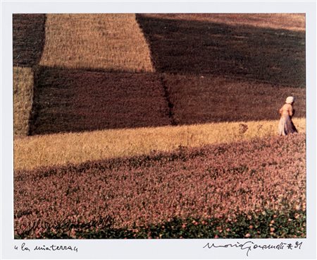 MARIO GIACOMELLI, La mia terra, 1991