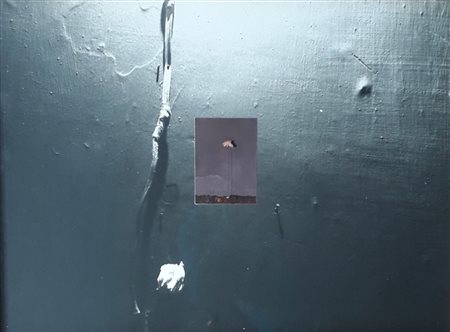 ZAZA MICHELE Molfetta (Bari) 1948 Coltivazione 1977 Foto a colore su foto in...