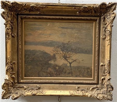 Davide Battista Barbieri "Lande del Po" olio su tavola (cm 35x40) siglato in bas