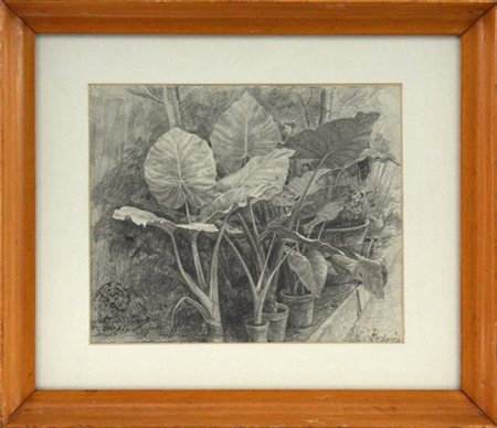 Nicola Ascione "Senza titolo" 
matita su carta
cm 22x26
firmato in basso a destr