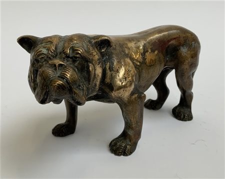 Ignoto "Bulldog" 
scultura in bronzo dorato
cm 9x17x8 (lievi difetti)