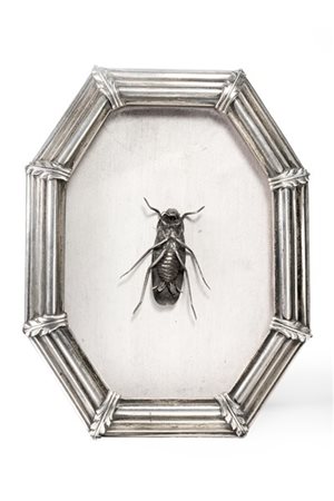 Bacheca con cornice ottagonale in argento e contenente uno scarafaggio in metal