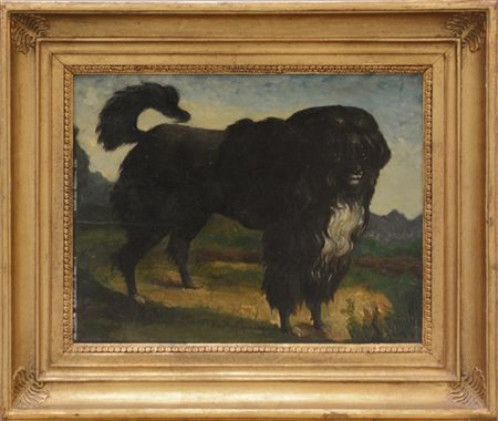 Behr "Barboncino" 1857, olio su tavola cm 35x45 firmato e datato in basso a sini