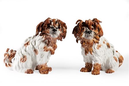Manifattura di Meissen, secolo XX "Cani Bolognesi" coppia di sculture in porcel