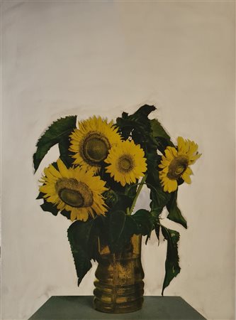 MICHELANGELO PISTOLETTO Girasoli.